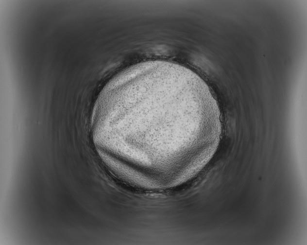 X0000086311297200704201954