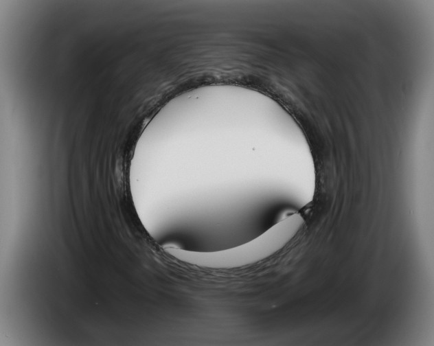 X0000086311298200704201954