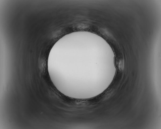 X0000086311299200704201954