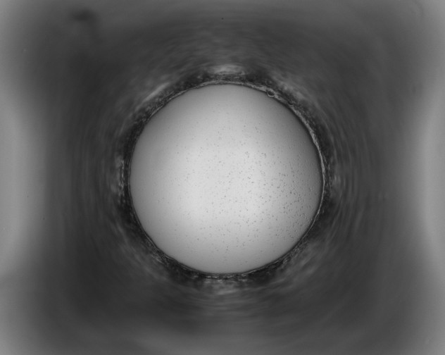 X0000086311301200704201954