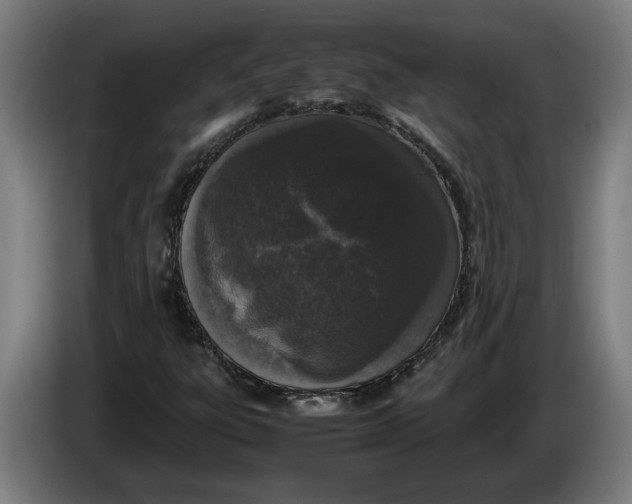 X0000086311303200704201954