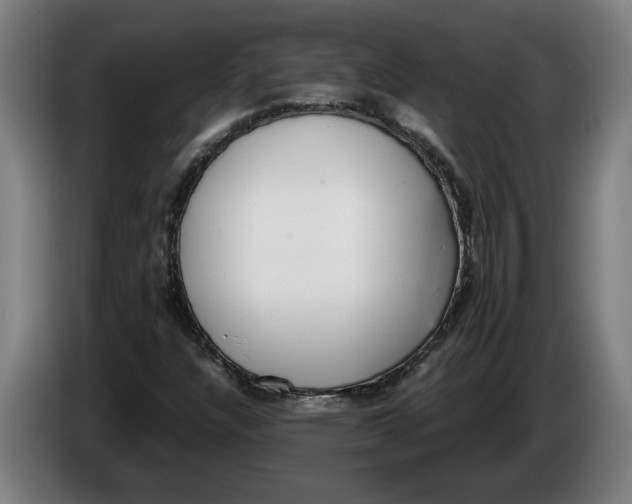 X0000086311304200704201954
