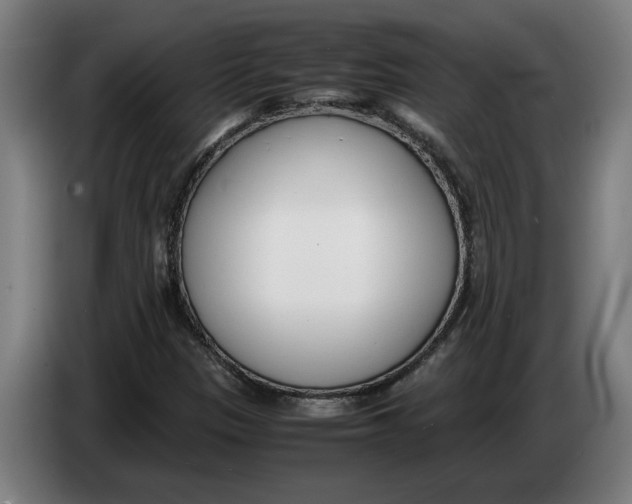 X0000086311305200704201954