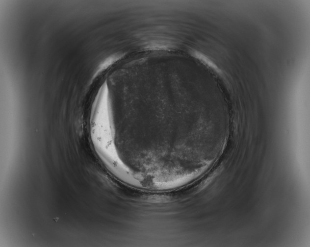 X0000086311306200704201954