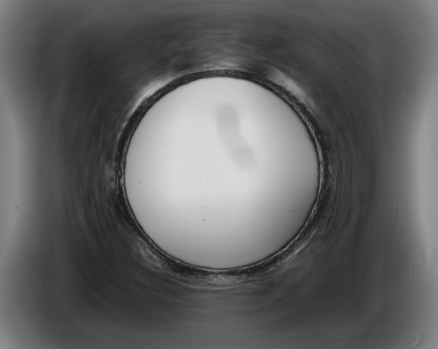 X0000086311308200704201954