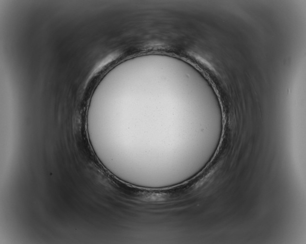 X0000086311309200704201954