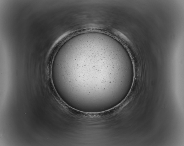 X0000086311310200704201954