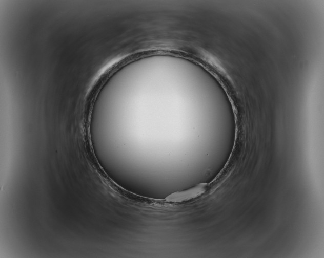 X0000086311312200704201954