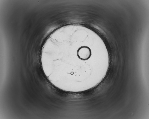 X0000086311314200704201954