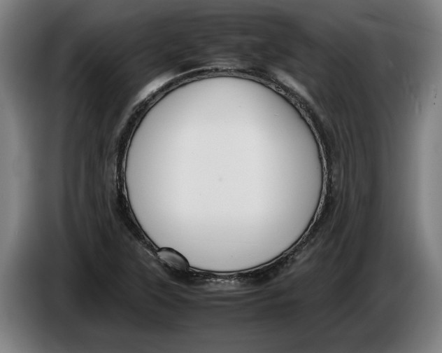 X0000086311315200704201954