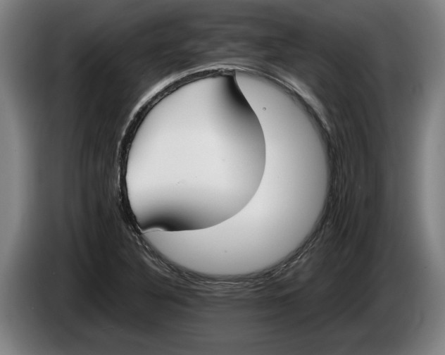 X0000086311316200704201954