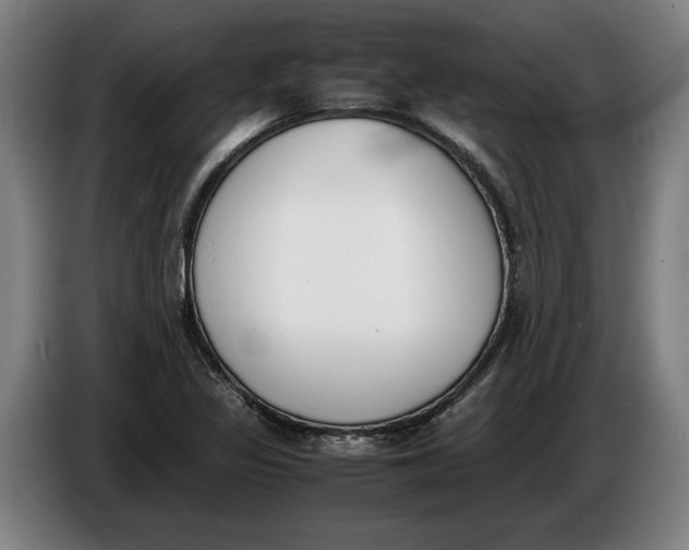 X0000086311317200704201954