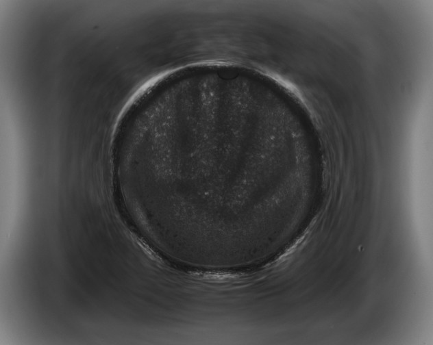 X0000086311319200704201955
