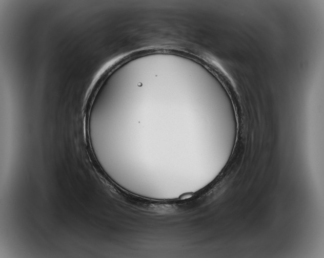 X0000086311320200704201955