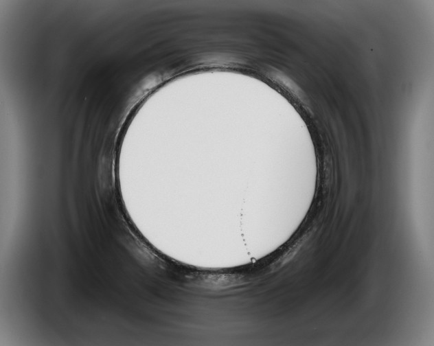 X0000086311322200704201955