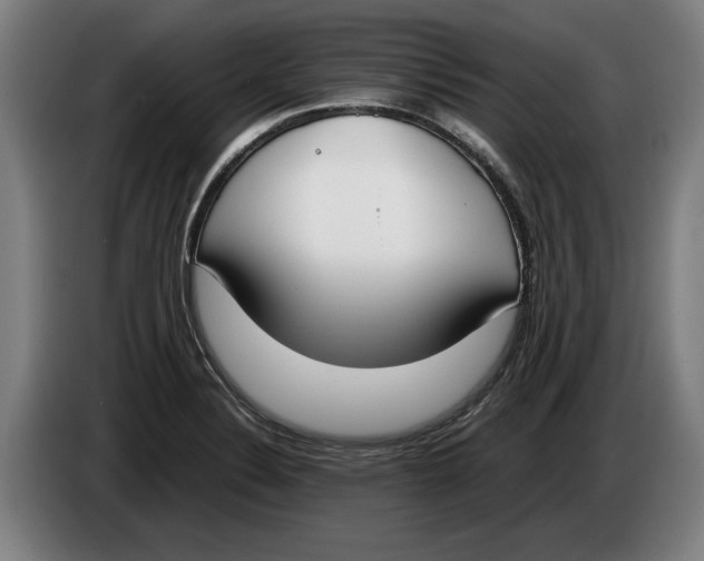X0000086311324200704201955