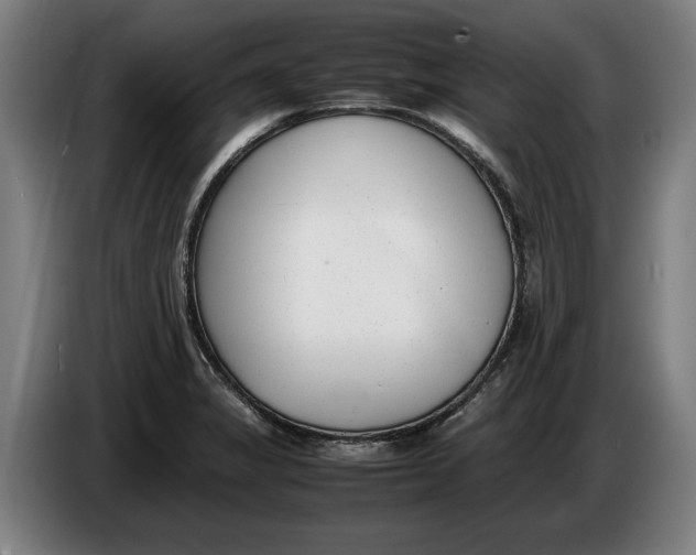 X0000086311325200704201955