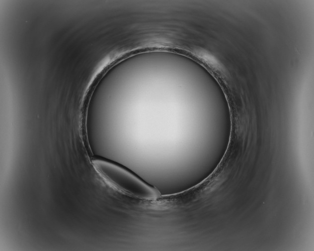 X0000086311326200704201955