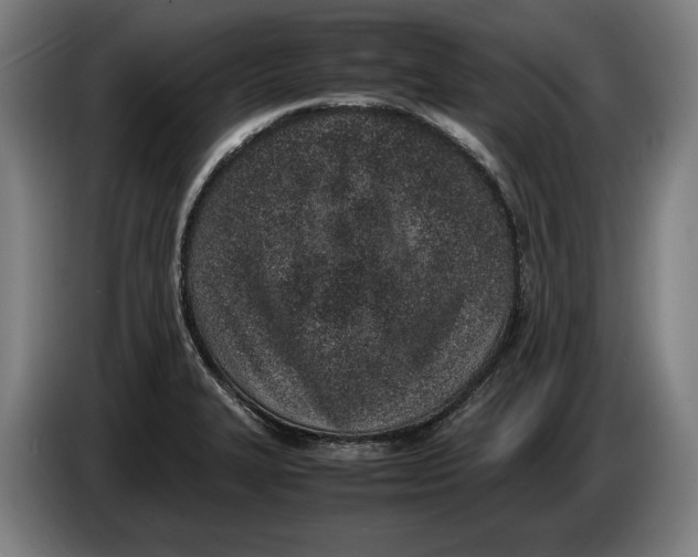 X0000086311327200704201955