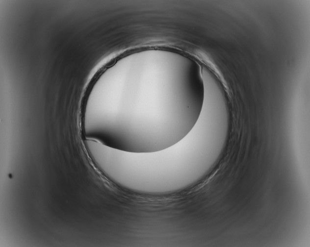 X0000086311328200704201955