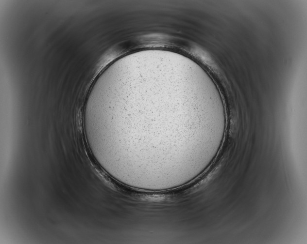 X0000086311329200704201955
