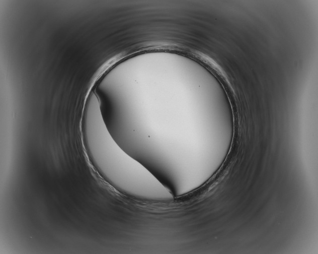 X0000086311330200704201955