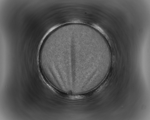 X0000086311331200704201955
