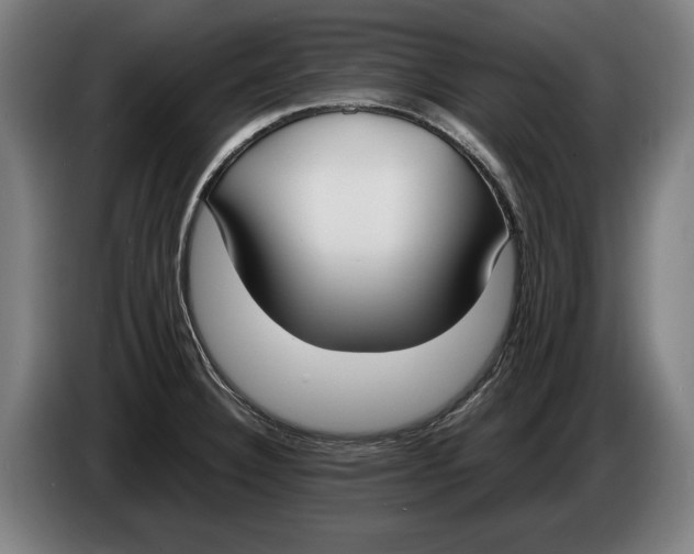 X0000086311332200704201955