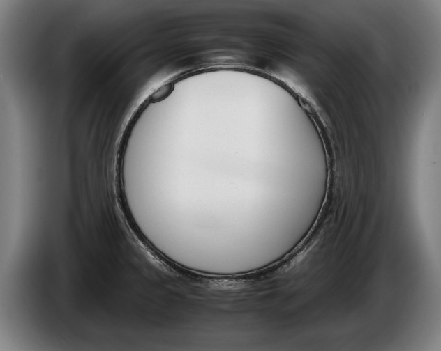 X0000086311333200704201955