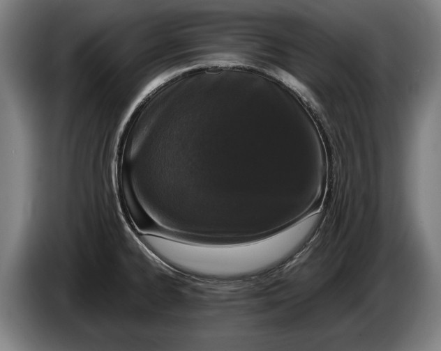 X0000086311334200704201955