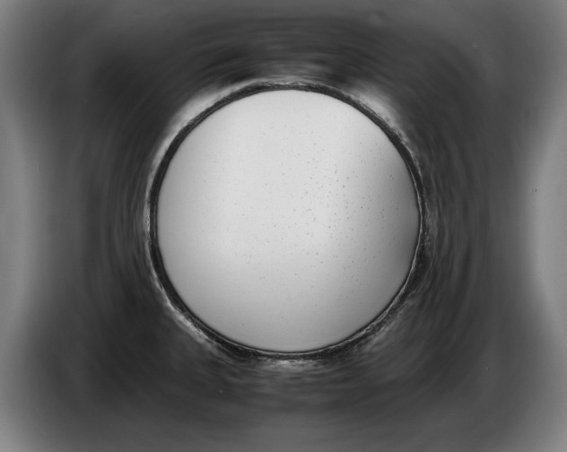 X0000086311335200704201955