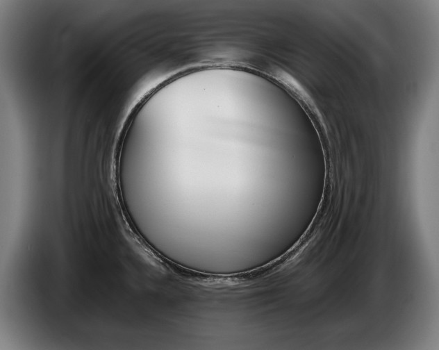 X0000086311336200704201955