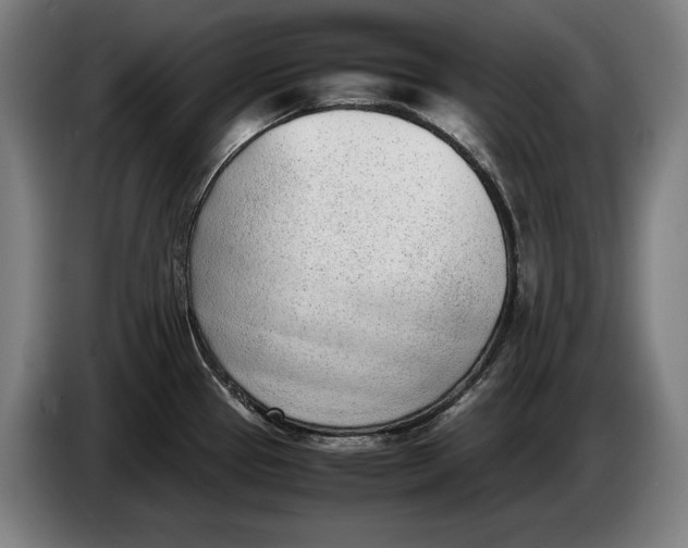X0000086311337200704201955