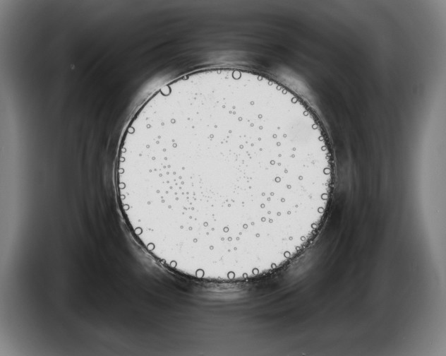 X0000086311338200704201955