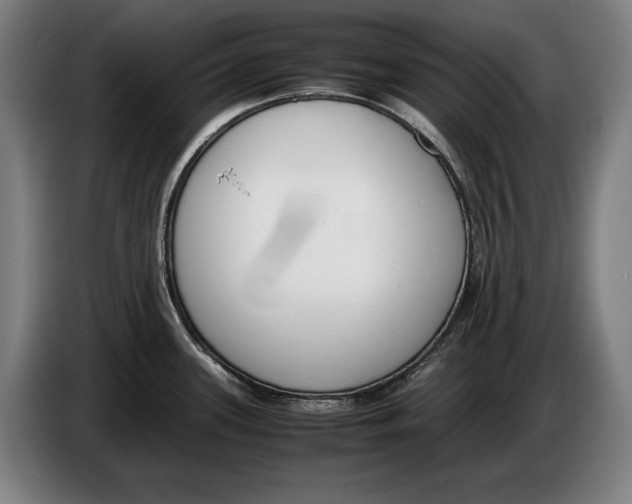 X0000086311339200704201955