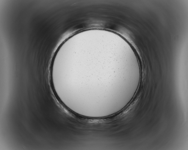 X0000086311341200704201955