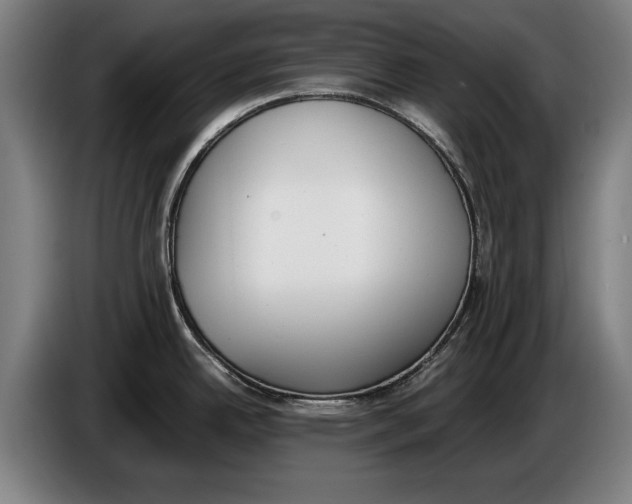 X0000086311342200704201955
