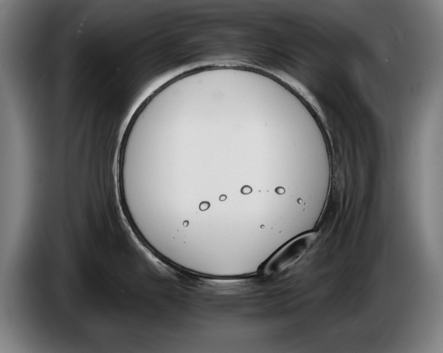 X0000086311343200704201955