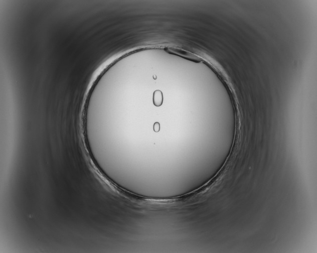 X0000086311344200704201955