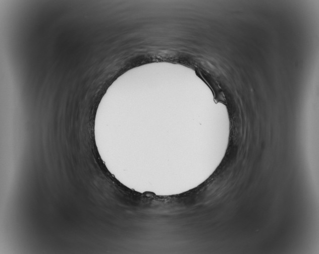X0000086311345200704201954