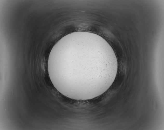 X0000086311346200704201954