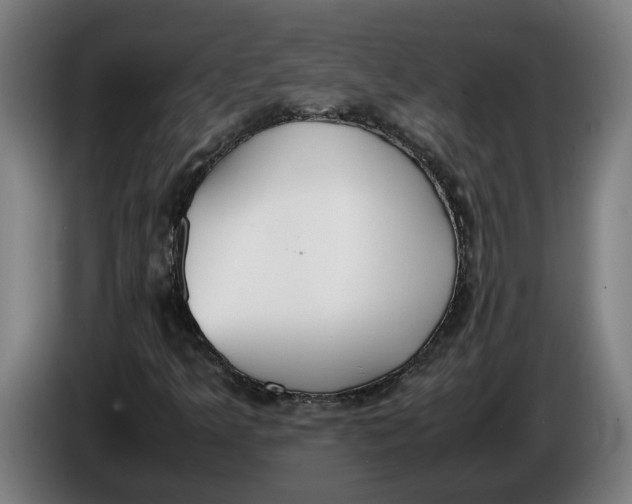 X0000086311349200704201954