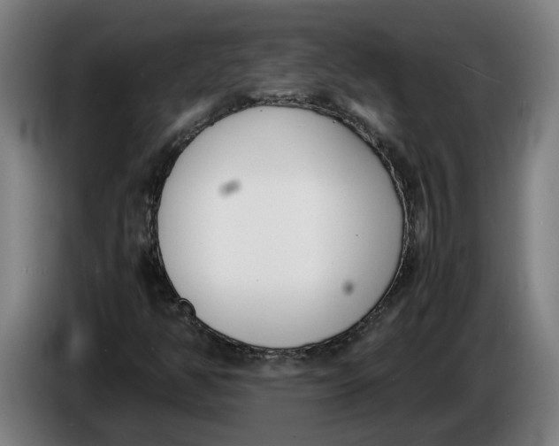 X0000086311350200704201954
