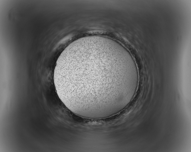 X0000086311351200704201954