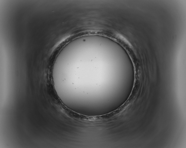 X0000086311352200704201954