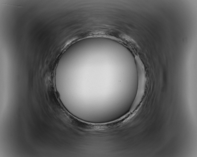 X0000086311353200704201954