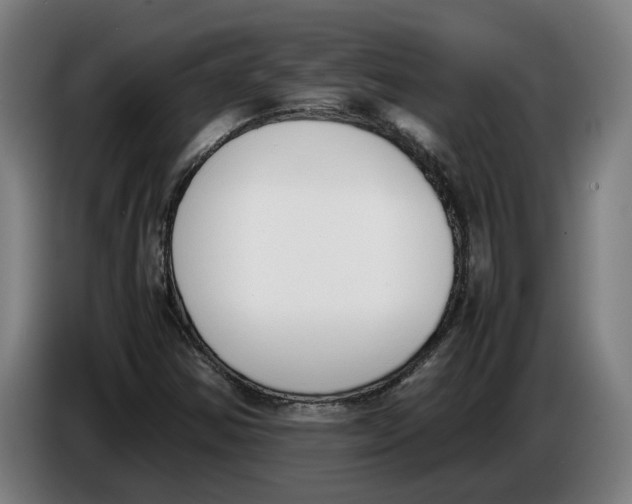 X0000086311354200704201954