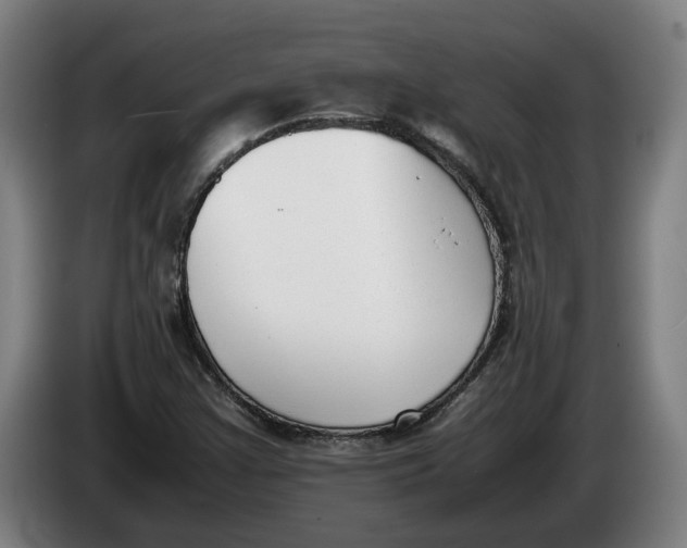 X0000086311355200704201954