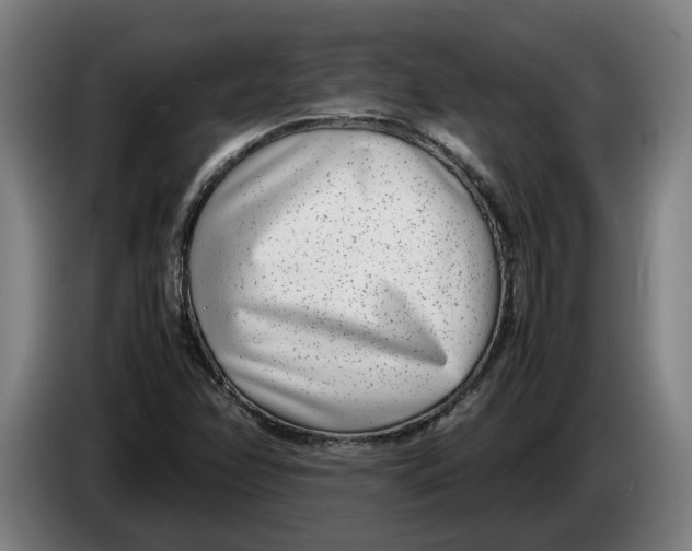X0000086311358200704201954