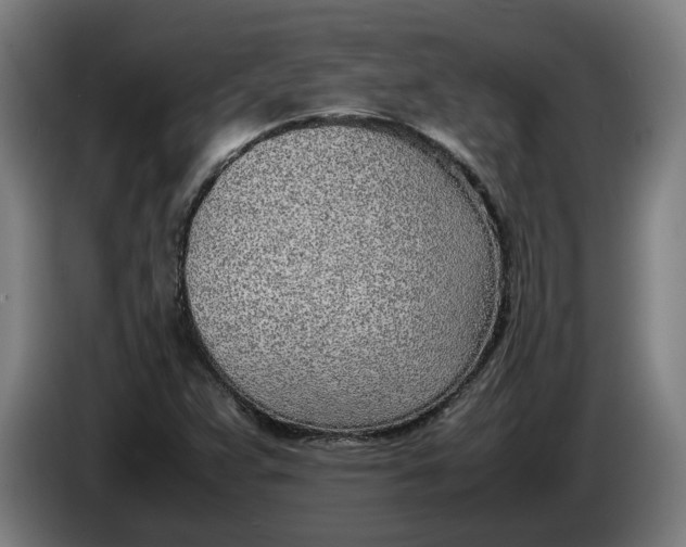 X0000086311359200704201954